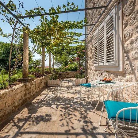 Old Garden Apartment Dubrovnik
